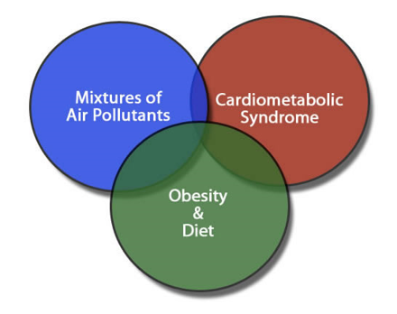 Center Objectives - Air Quality.png